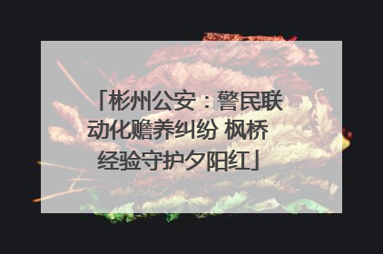 彬州公安：警民联动化赡养纠纷 枫桥经验守护夕阳红